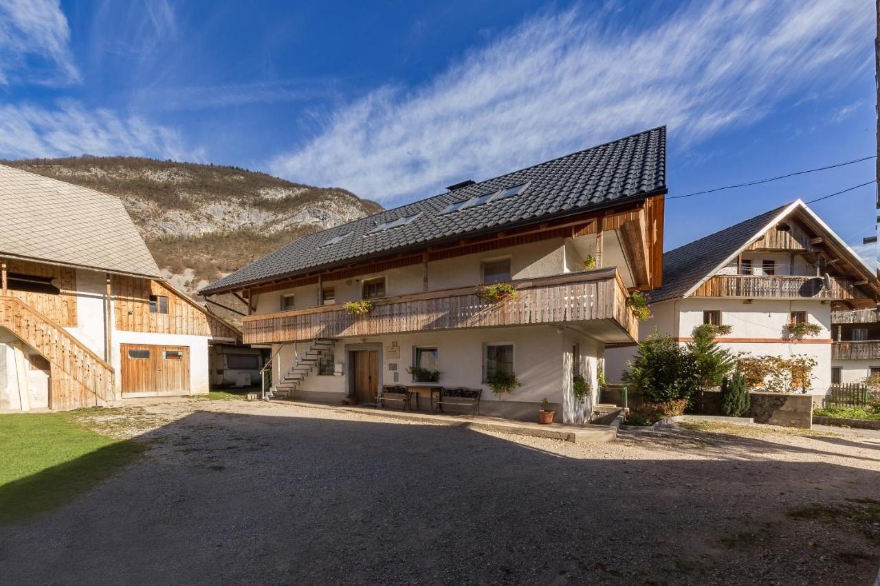 Apartma Ivana & Ivanka Bohinj Dış mekan fotoğraf